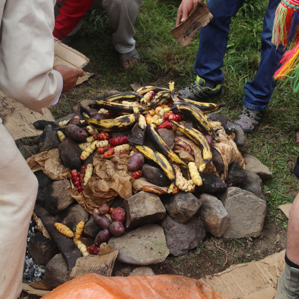 Building the pachamanca